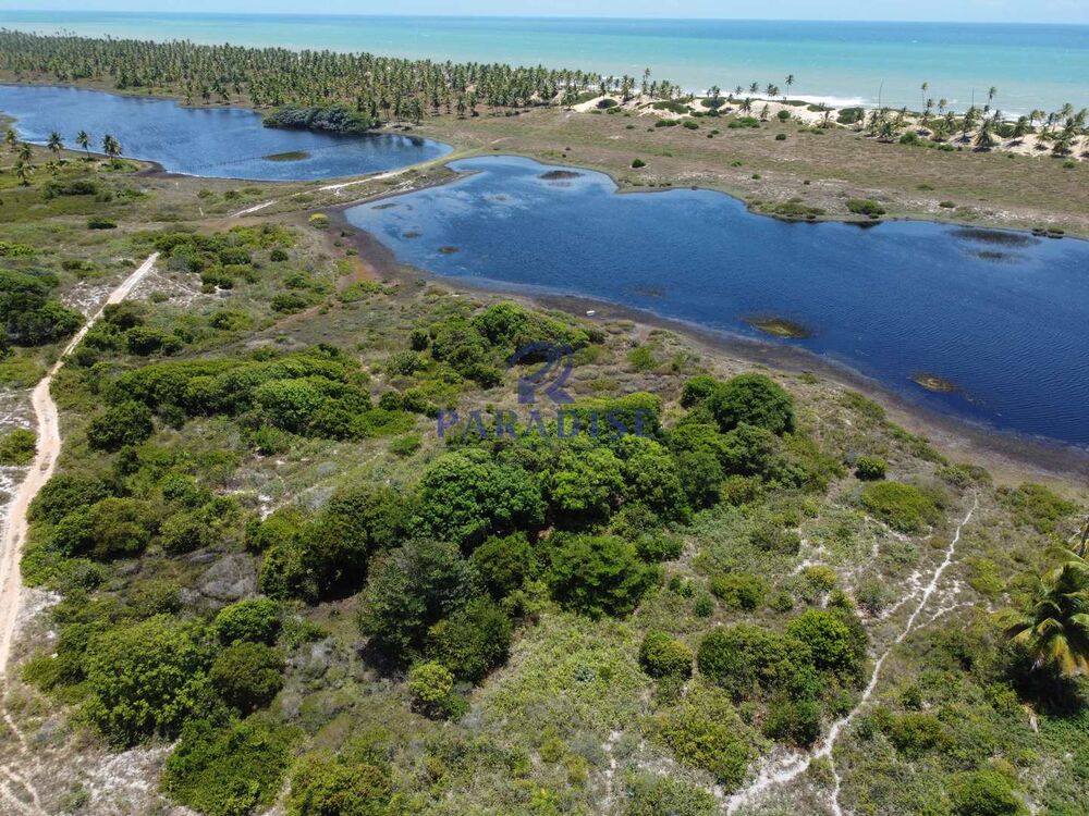 Terreno, 16 hectares - Foto 8