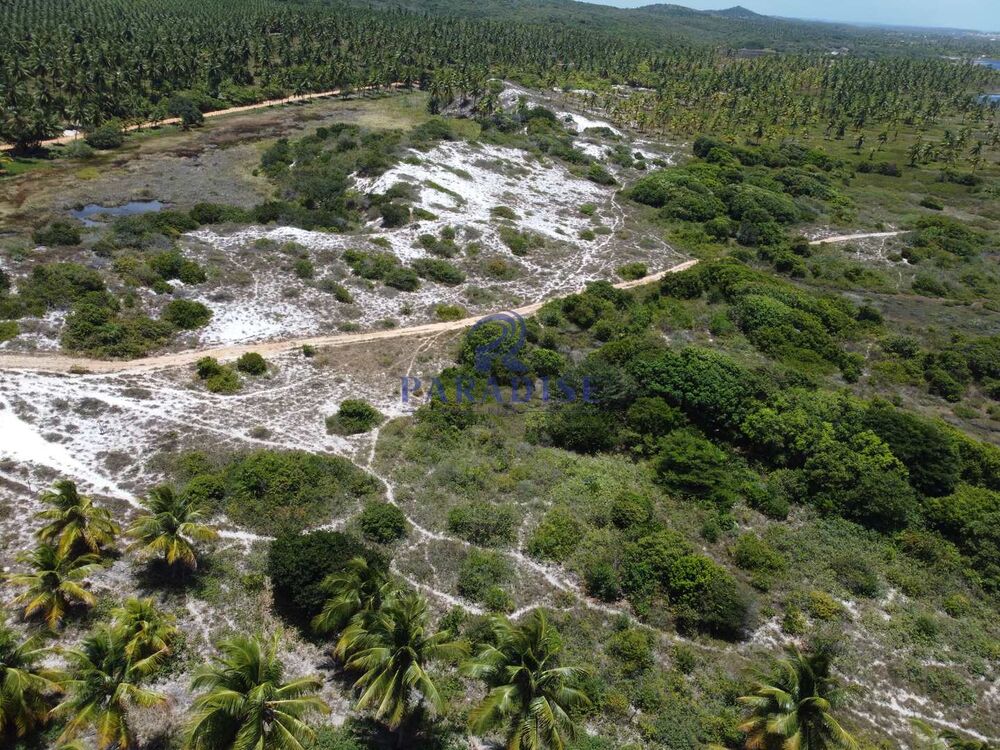 Terreno, 16 hectares - Foto 15