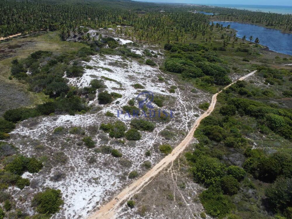 Terreno, 16 hectares - Foto 11