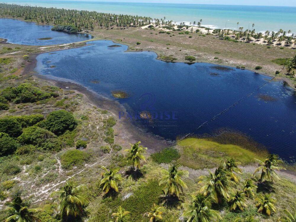 Terreno, 16 hectares - Foto 3