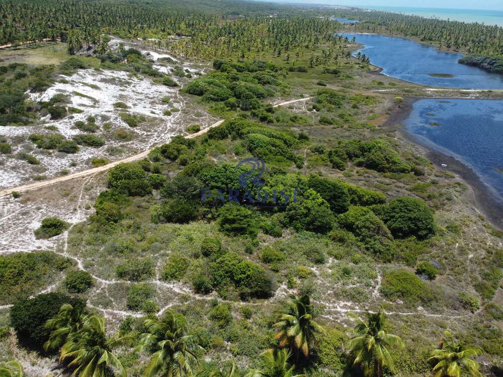 Terreno, 16 hectares - Foto 10