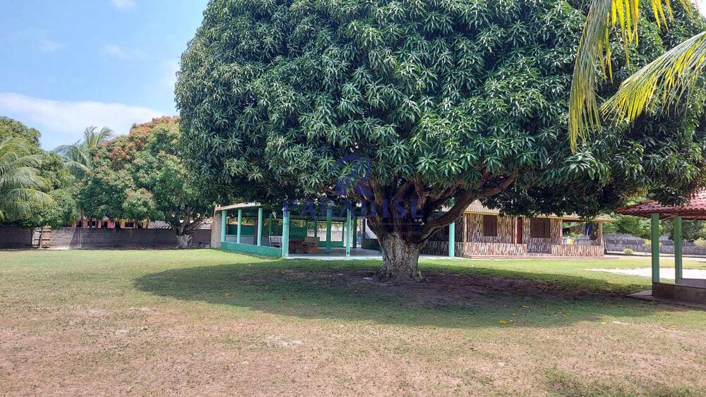 Sítio à venda, 6800m² - Foto 7