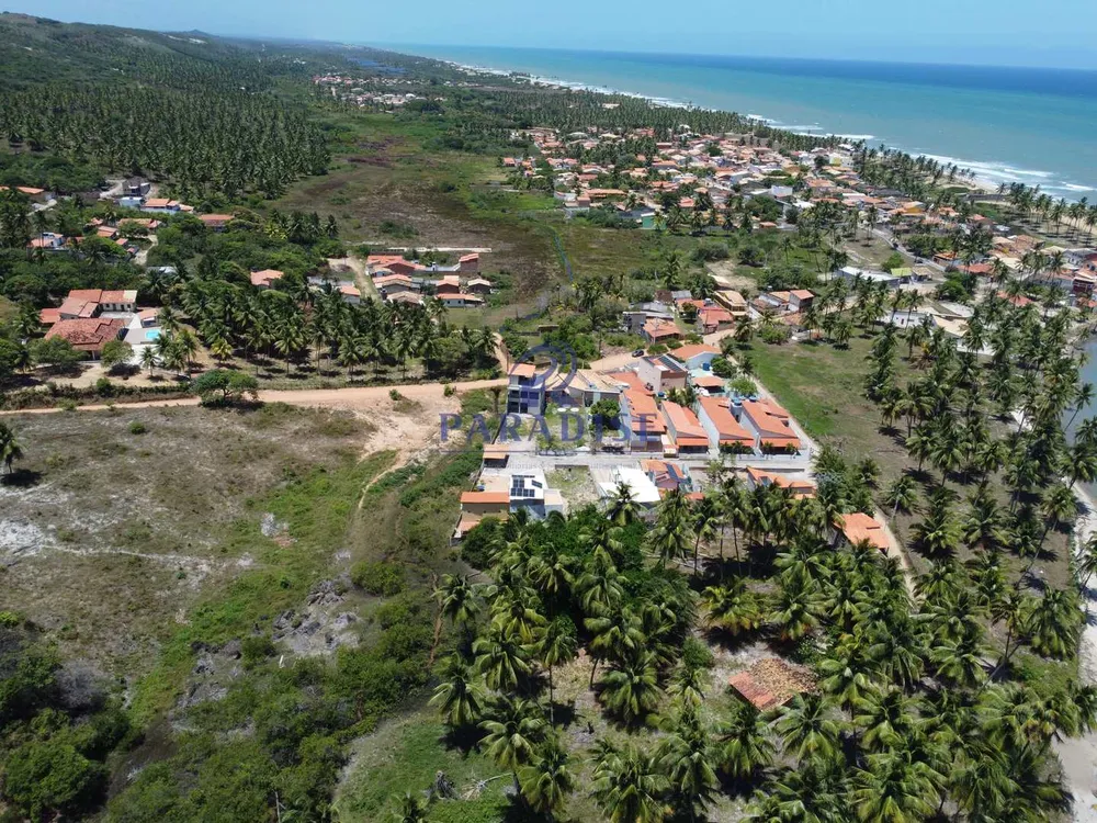 Terreno, 4 hectares - Foto 10