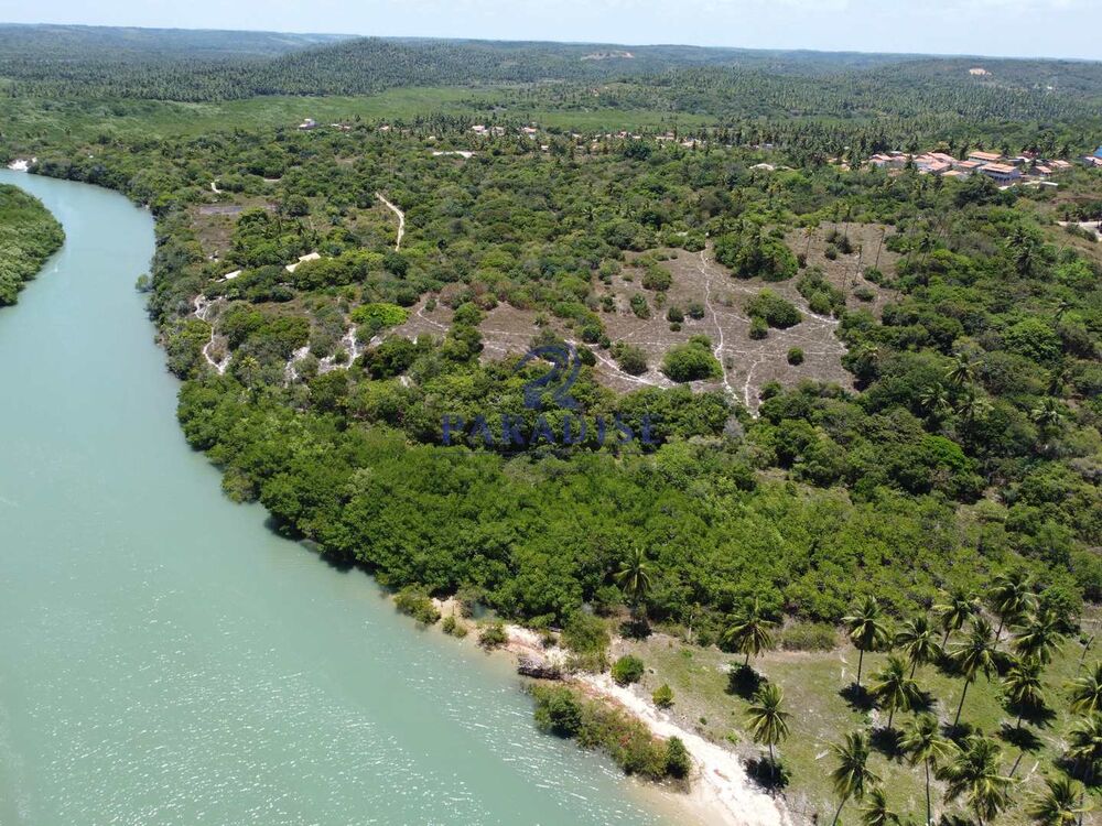 Terreno, 4 hectares - Foto 12