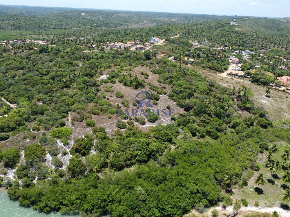 Terreno, 4 hectares - Foto 7