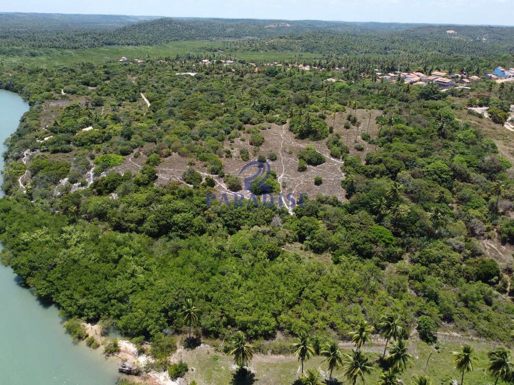 Terreno, 4 hectares - Foto 10