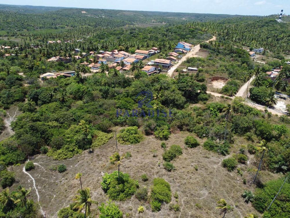 Terreno, 4 hectares - Foto 8