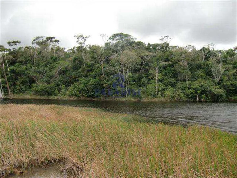 Fazenda, 90 hectares - Foto 11