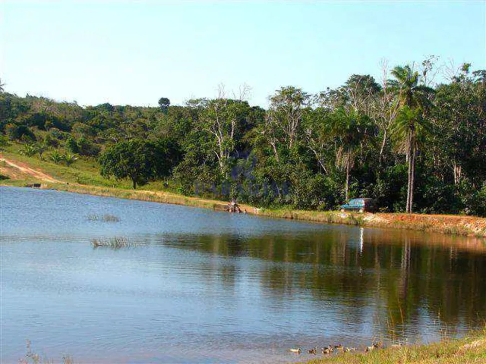 Fazenda, 90 hectares - Foto 17