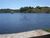 Fazenda, 90 hectares - Foto 9