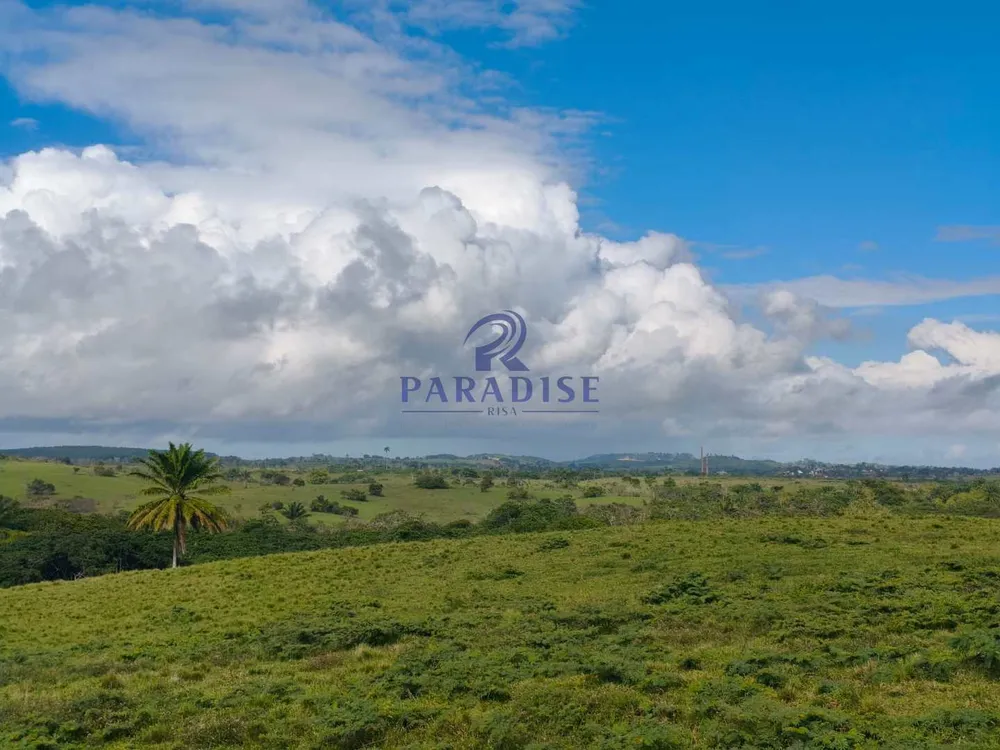 Fazenda, 237 hectares - Foto 11