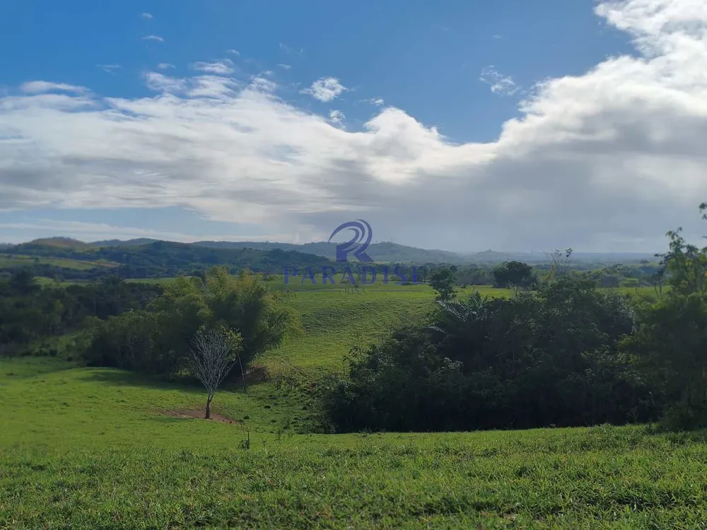 Fazenda, 237 hectares - Foto 6