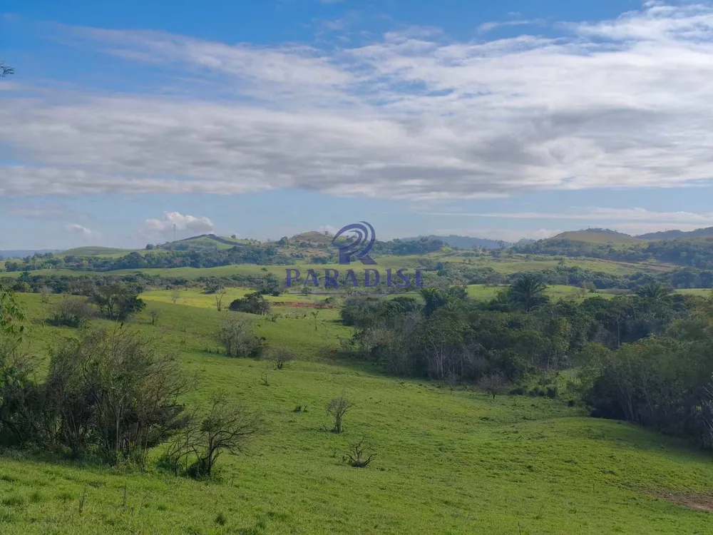 Fazenda, 237 hectares - Foto 7