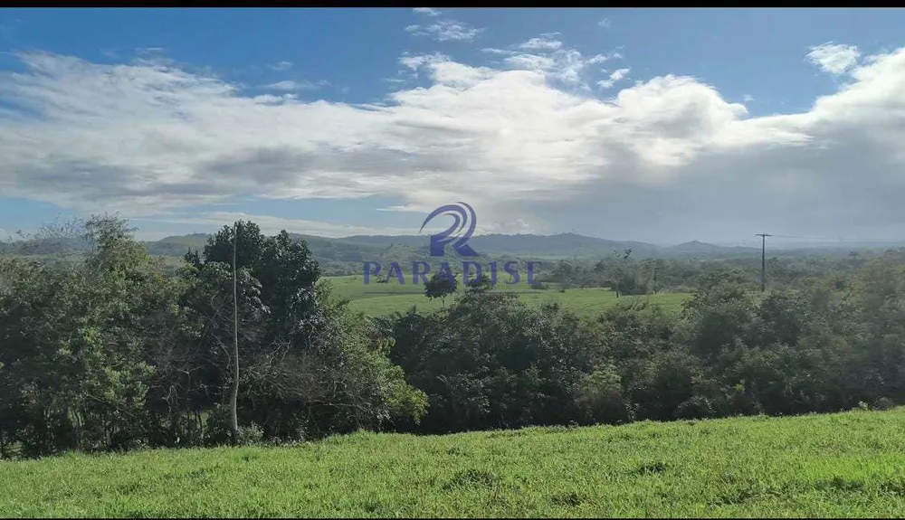 Fazenda, 237 hectares - Foto 12