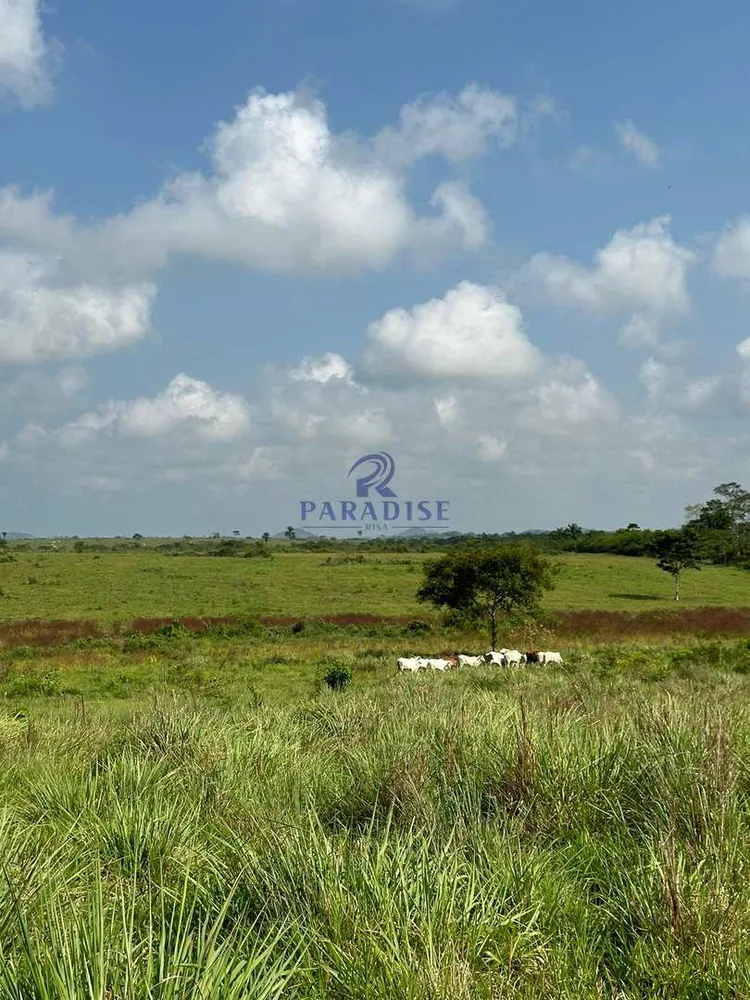 Fazenda, 237 hectares - Foto 1
