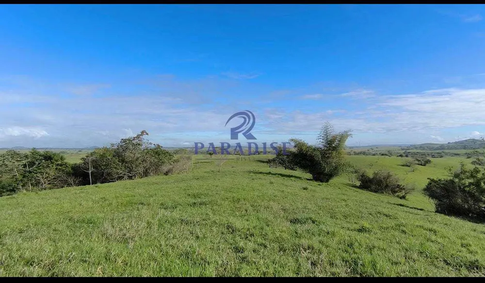 Fazenda, 237 hectares - Foto 10