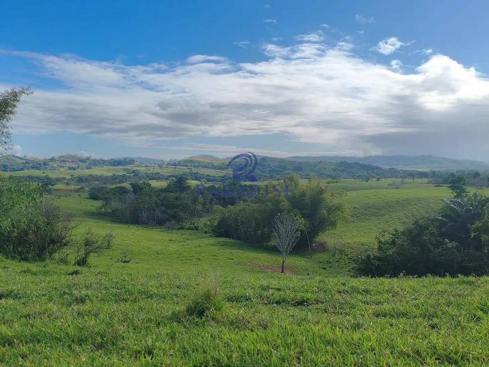 Fazenda, 237 hectares - Foto 3