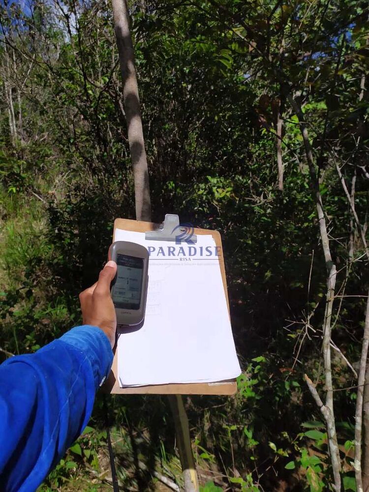 Terreno, 13 hectares - Foto 8