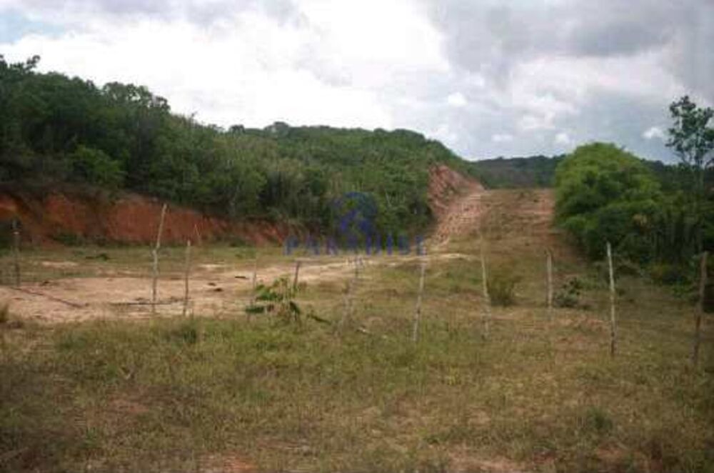 Terreno, 13 hectares - Foto 5