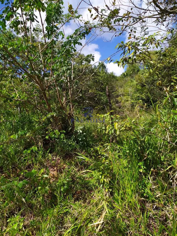 Terreno, 13 hectares - Foto 14