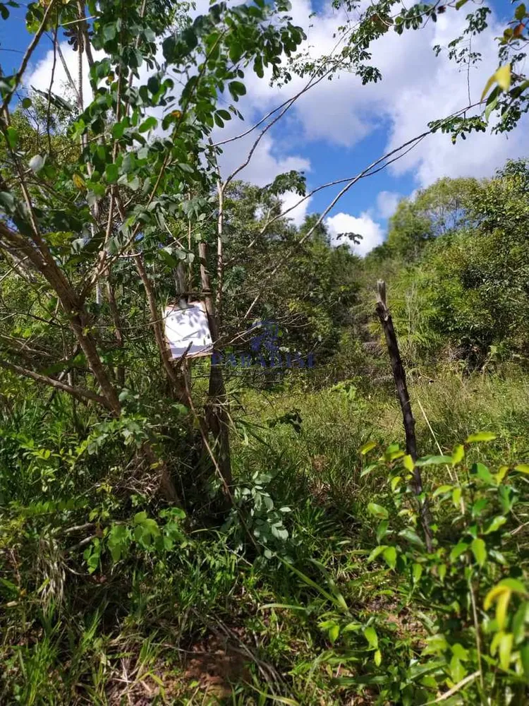 Terreno, 13 hectares - Foto 11