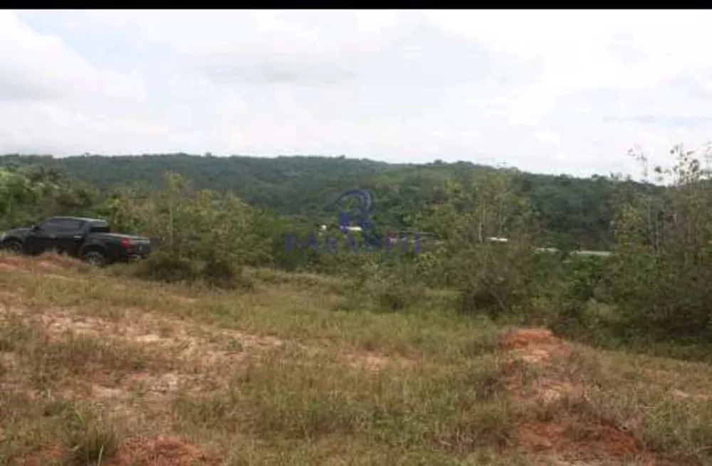 Terreno, 13 hectares - Foto 7