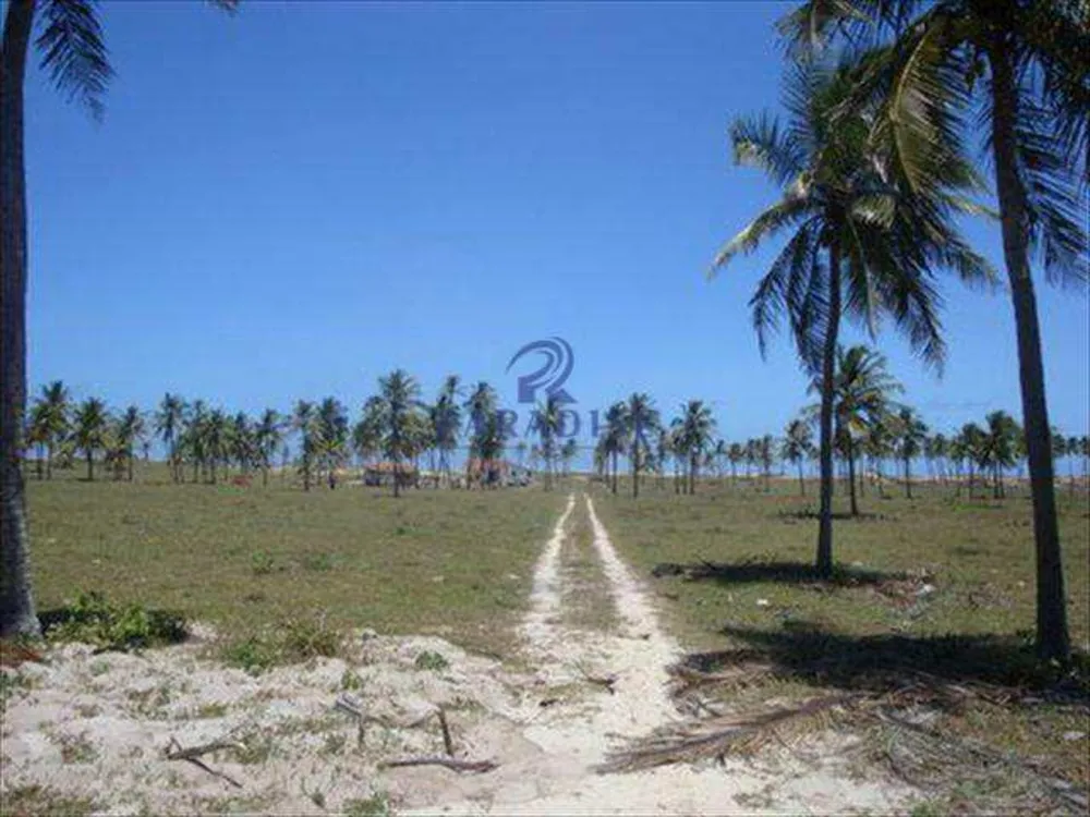 Terreno, 44 hectares - Foto 9