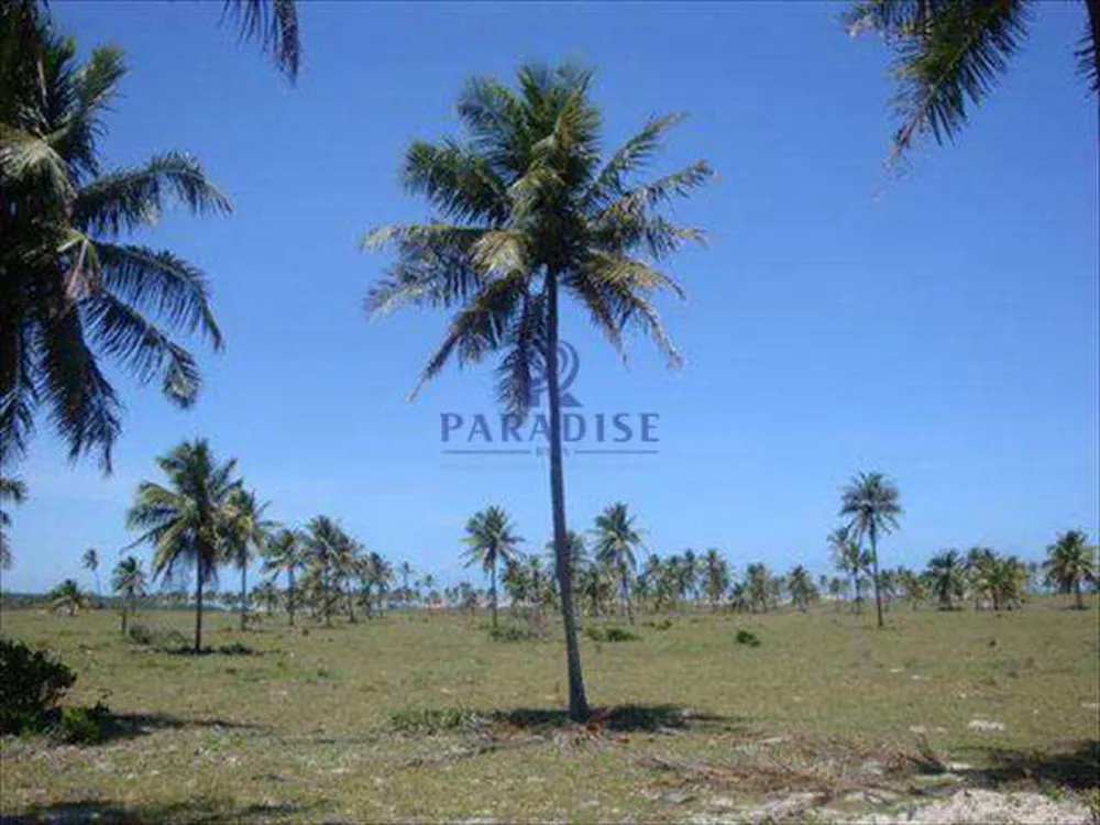 Terreno, 44 hectares - Foto 7
