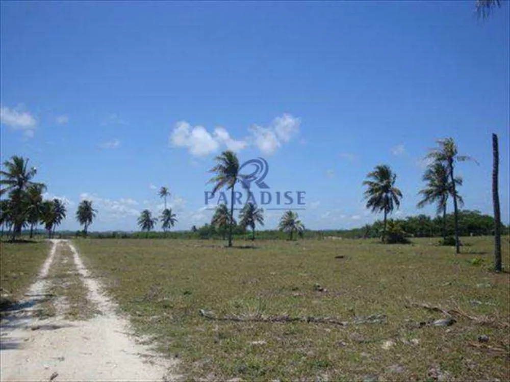 Terreno, 44 hectares - Foto 8