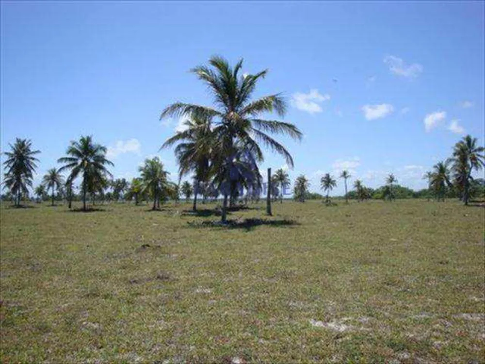 Terreno, 44 hectares - Foto 6