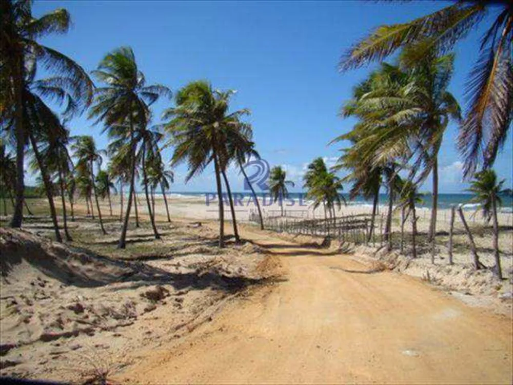 Terreno, 44 hectares - Foto 11