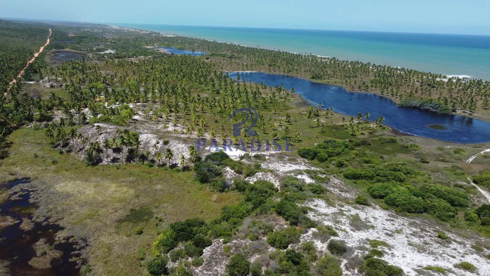 Terreno, 44 hectares - Foto 10