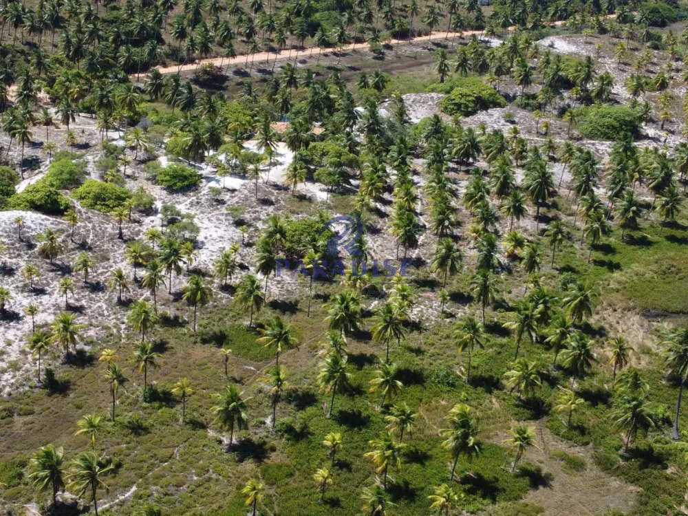 Terreno, 44 hectares - Foto 4