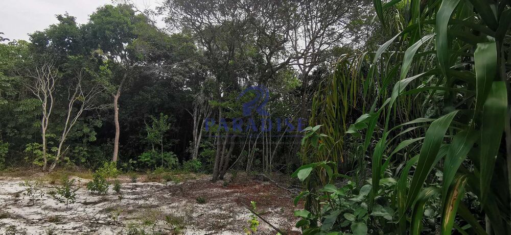 Terreno, 700 m² - Foto 4