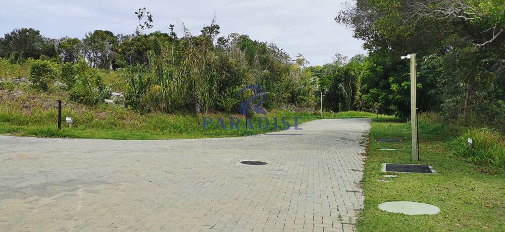 Terreno, 700 m² - Foto 1