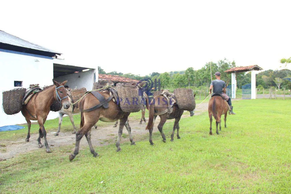 Fazenda, 148 m² - Foto 4