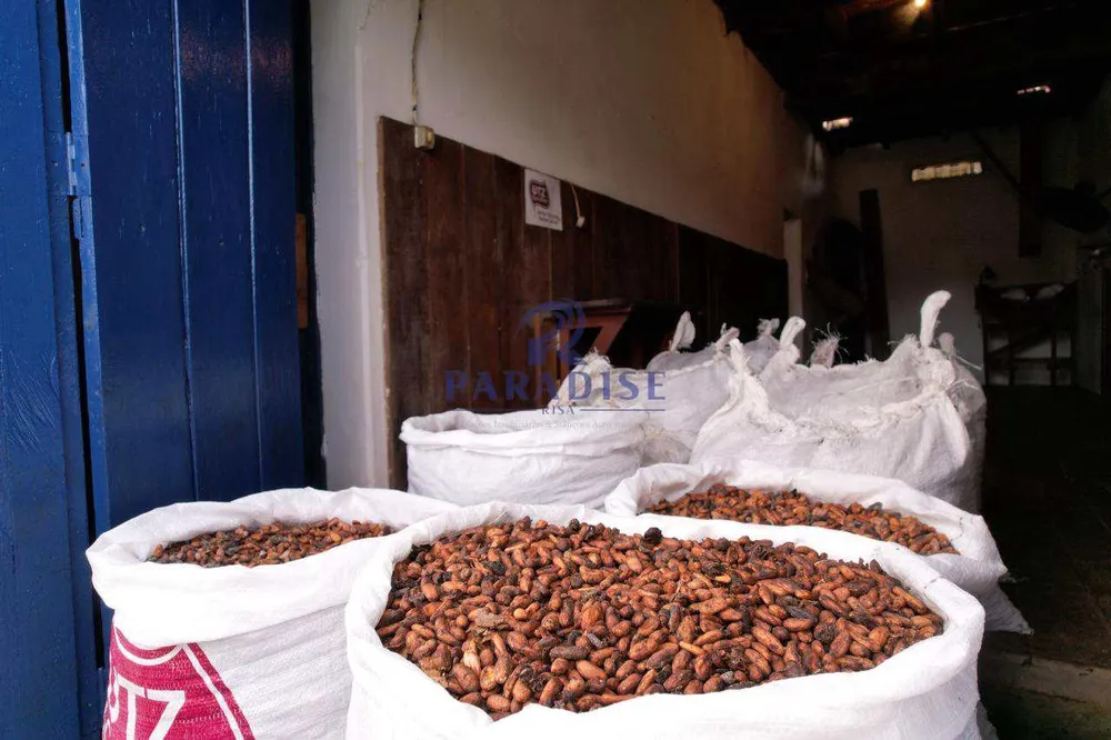 Fazenda, 148 m² - Foto 5
