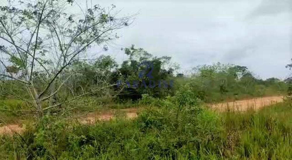 Terreno, 19 hectares - Foto 6