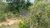 Terreno, 19 hectares - Foto 4