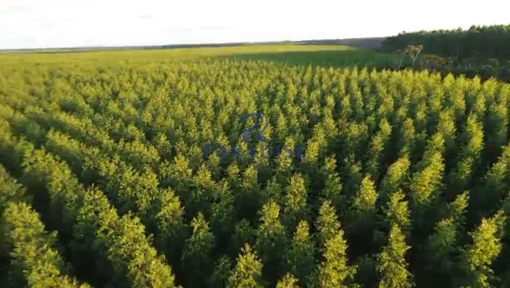 Fazenda, 196 m² - Foto 5