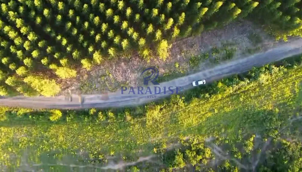 Fazenda, 196 m² - Foto 3