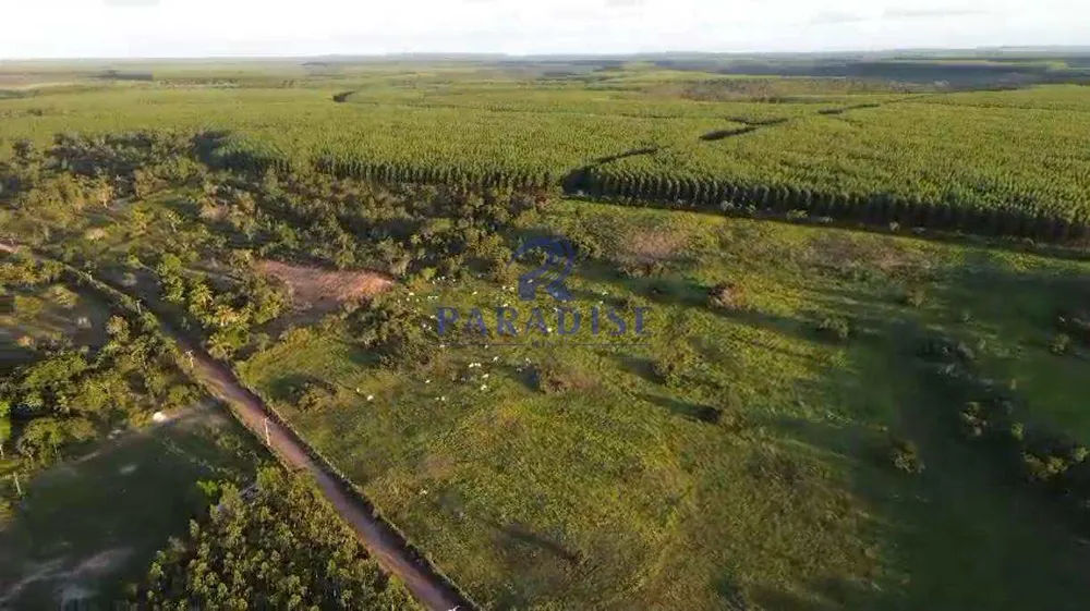 Fazenda, 196 m² - Foto 9