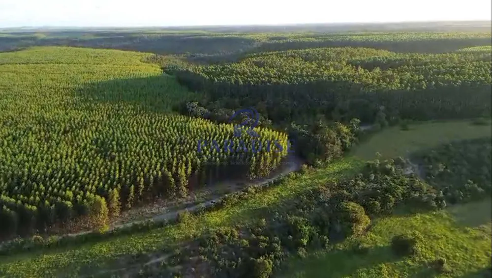 Fazenda, 196 m² - Foto 3