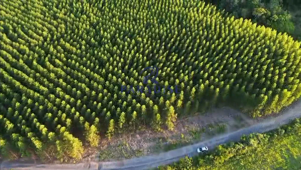 Fazenda, 196 m² - Foto 4