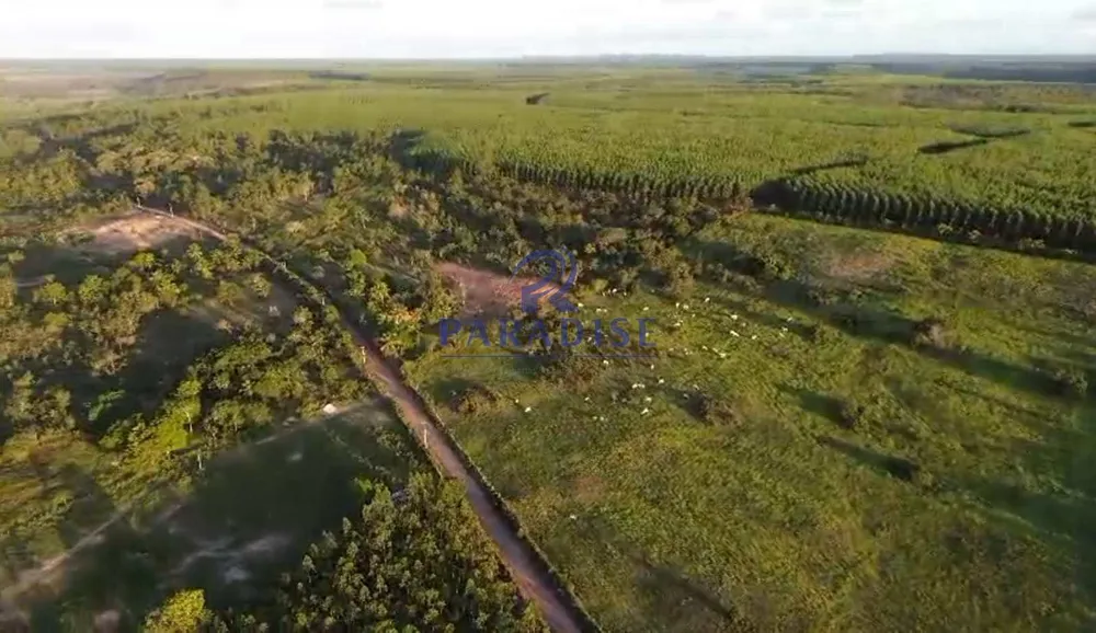 Fazenda, 196 m² - Foto 6