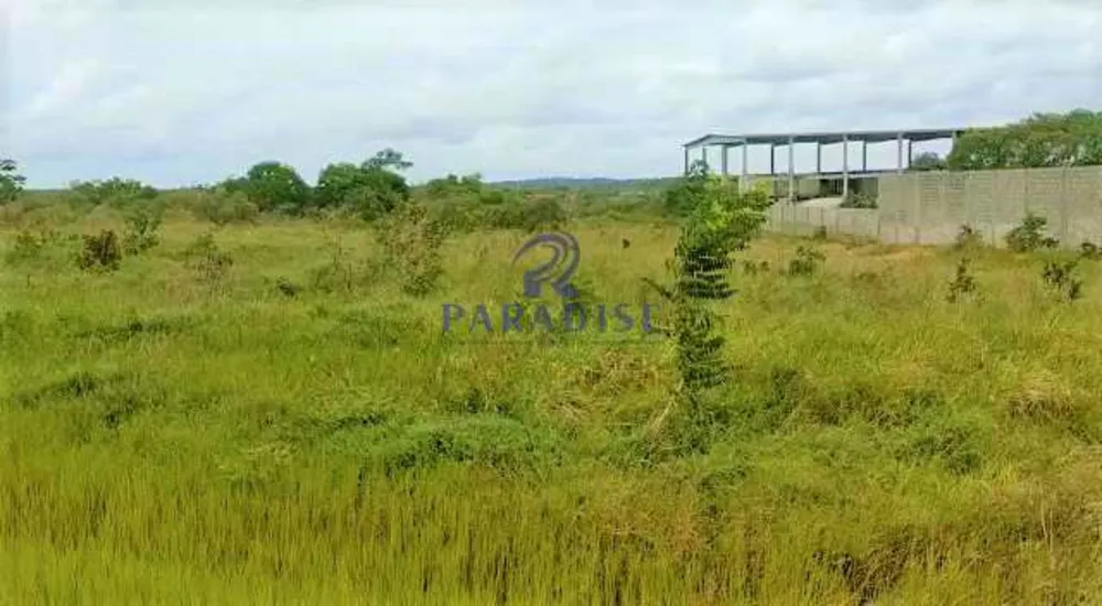 Terreno, 141 hectares - Foto 7