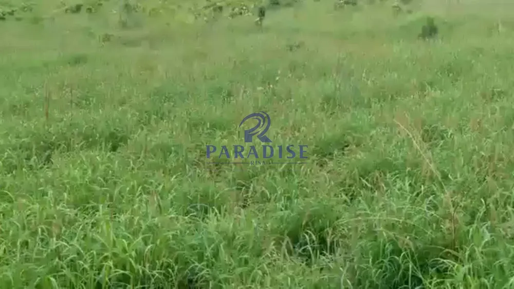 Fazenda, 356 m² - Foto 1
