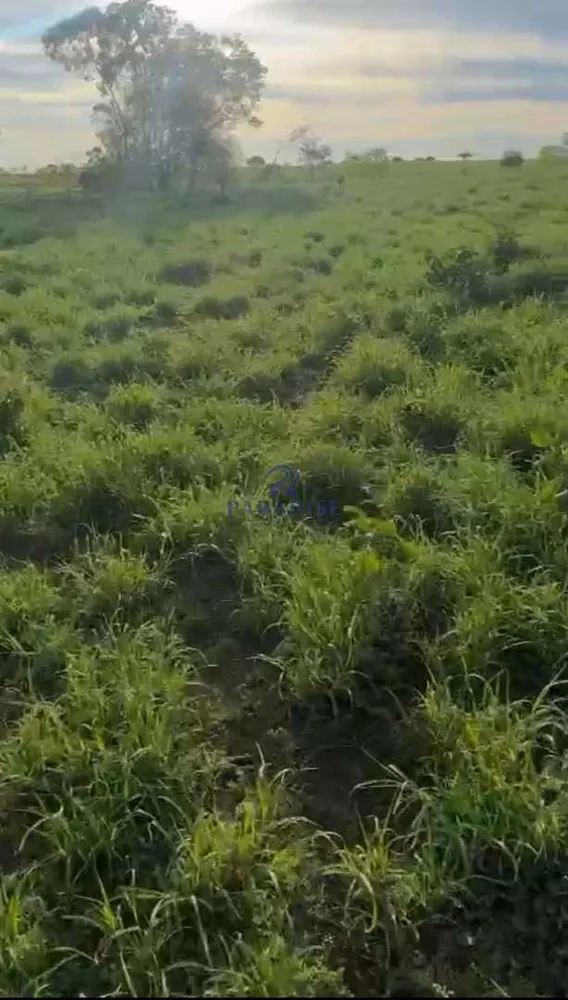Fazenda, 356 m² - Foto 10