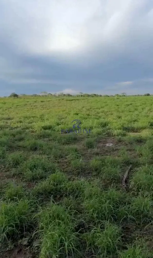 Fazenda, 356 m² - Foto 9