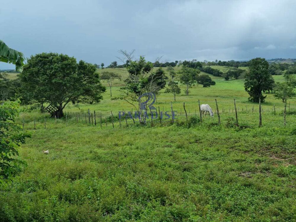 Fazenda, 80 hectares - Foto 18